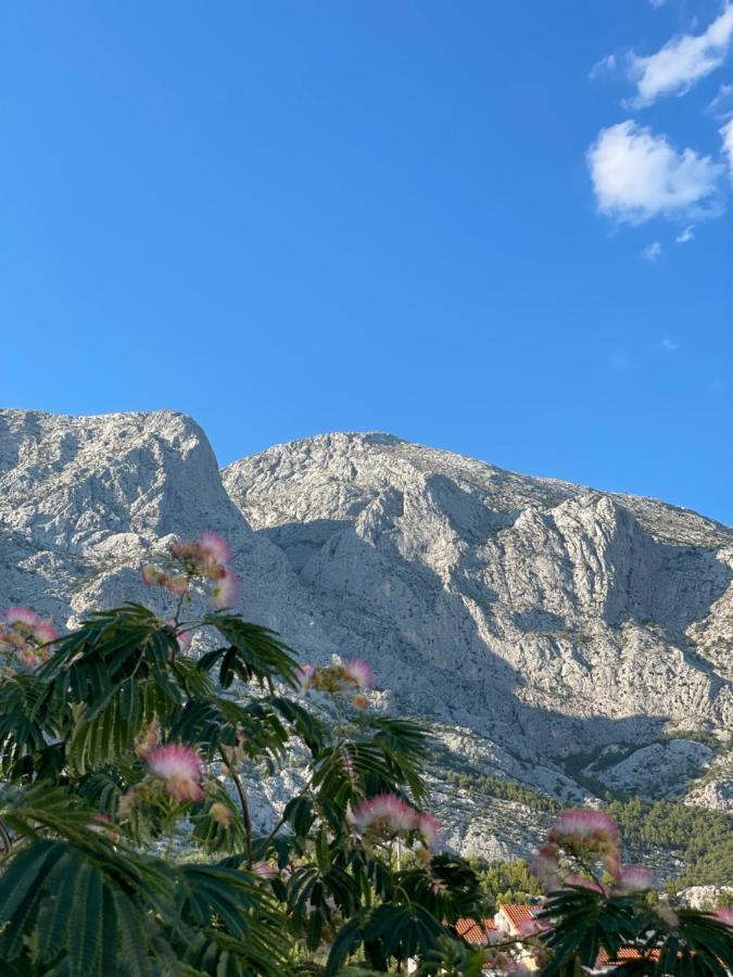 Heaven'S View Apartments Baška Voda Eksteriør billede